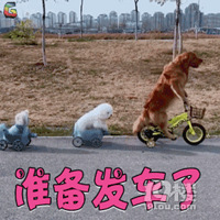 ����Ů����������Ϣ��ʥ���޶�����������������