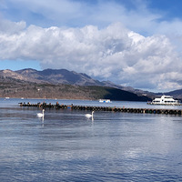 ��һ�´�����д�