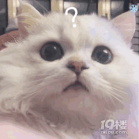 ���괩����+���̿�=��Ӯ�������ȿ�����10��������