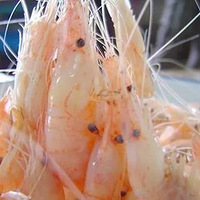 ʲô����������㻹�ڼҶ��ţ�