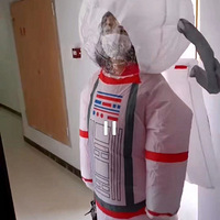 �����ڼ��Ӳ�˴���