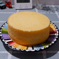 ��ѽ�����ԭζ������ݷ絰��