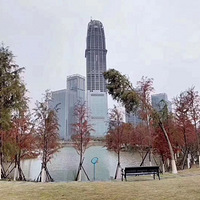 ̨�ݵ�һ��¥   ��ʢ����   ʢ����