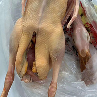 �Ź������༦Ѽ������Ҫ���ų���ϵ��