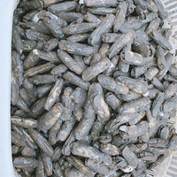 �������ӳ��󳬷ʣ�