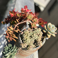 ʱ��3�꣬�����ҵ���