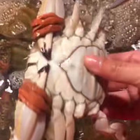 �������͡�