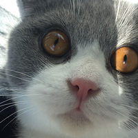 ���׹��������19��5-20����1500����