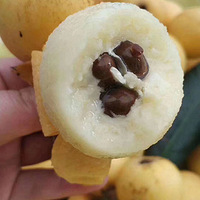 �����������ڼ�