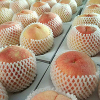 ���µ�һ��԰ �ˮ���� �Բ�����