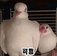 @ϹϹˣҪ520