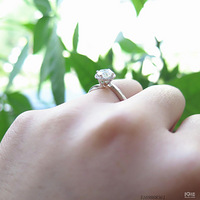 ̨�ݽ�����ʯ��ָ��������յ䵱