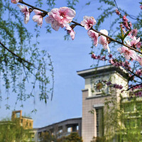 ��ʮ���������赸��ɫ��ò��ã���ô���ܿ���