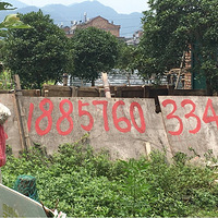 ��������������������/С��/���� ���ʺ�