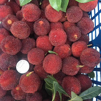 ����÷�ˣ�