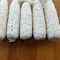 ��������մӵ���ժ�����ס�����Ҫ�����ѿ��Ե�ҫ��ٻ�����ר��