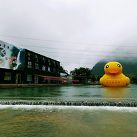 ��̨����ϿƯ��6��24���һݿ�Ư�������ȳ衢���ҡ���ŵ����ˣ�