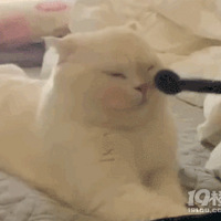 ���Ĺ�����ױˢ���߼���ױ��û����ˢ����ô��