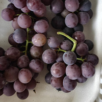 ��������ɽ���ѿ���