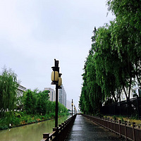 ������̨���ٹ⡿̨��������ҹ���̵�