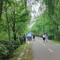 ������̨���ٹ⡿�ؽ�����-20200525-������-�̵�(++)