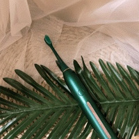 �Լ۱ȳ��ߵ綯��ˢ ���������