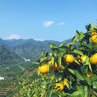 ӿȪ۽۵Ⱦ˵ܴﵽ17ȣ