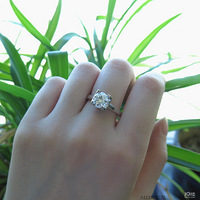 ����һ����䣡