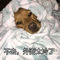 ��ɳʥ���ܣ������ˣ���һ���䣬�С���ҵ��Ŵ�©�硱