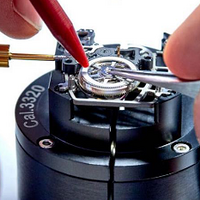 ̽RICHARD MILLE׶칤