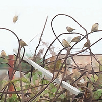 ��̨�ݡ� ���ַ�ȸ -20191103 -������-�̵�