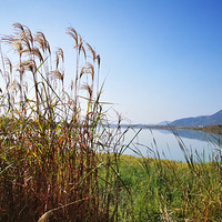 ��������«��