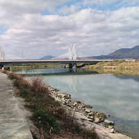 ��̨�ݡ� ������վ -20201114 -������-�̵�