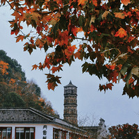 ��������������