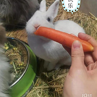 жڣϴ˵ллʲôʱ