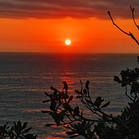 �����ճ�