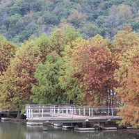 ����ɽ�ĺ�����