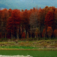 С֥������