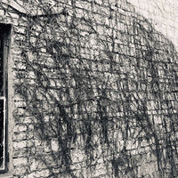 ����Ӱ2020��ƽ����һ��