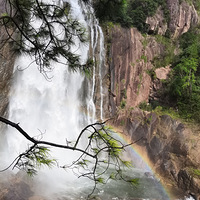 ����Ӱ2020����̨ɽ���ٲ�