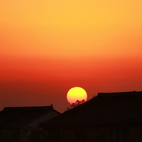 ����Ӱ2020���ճ�