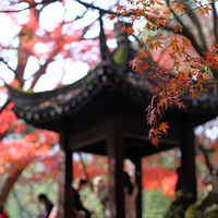 �ŷ幫԰�������ʱ