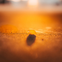 ����Ӱ2020����һ�꣬�µ�ȥ�����µ�����