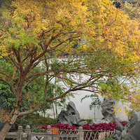 �ٺ��������