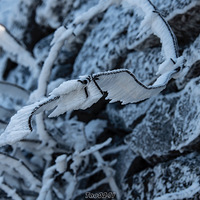 ����Ӱ2020������ʱ�ڣ�����ɽӭ���˵�һ����ڡ��