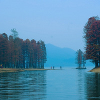 ����Ӱ2020���Ҿ�ͷ�е�����