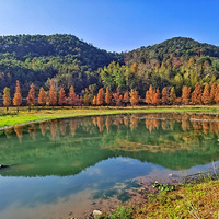 ����Ӱ2020������ů���µ�����