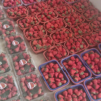 ��ݮ�ͻ��µ꿪��