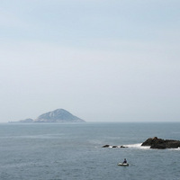 ����Ӱ2020����Ļ����ݲݺ���ʳ��