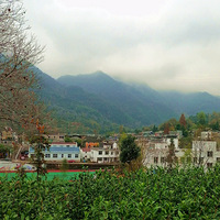 �������ϻƣ�����Ⱦ��ƣ������ϻƹŵ���